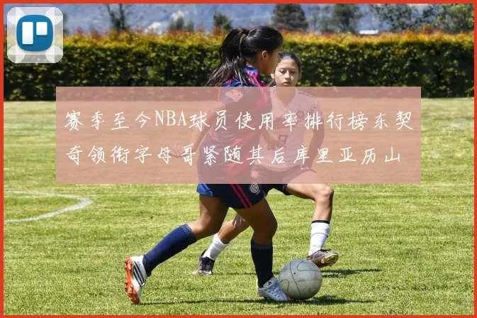 赛季至今NBA球员使用率排行榜东契奇领衔字母哥紧随其后库里亚历山大表现抢眼