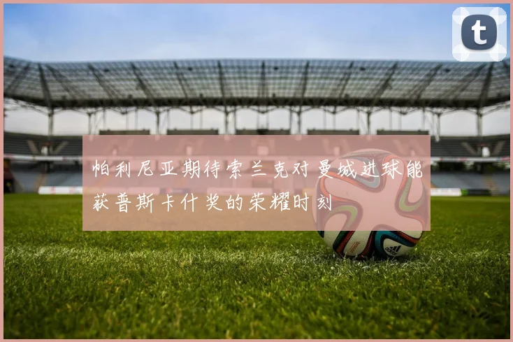 帕利尼亚期待索兰克对曼城进球能获普斯卡什奖的荣耀时刻