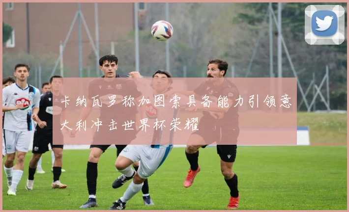卡纳瓦罗称加图索具备能力引领意大利冲击世界杯荣耀